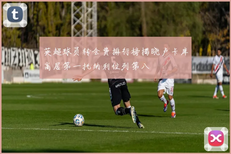 英超球员转会费排行榜揭晓卢卡库高居第一托纳利位列第八