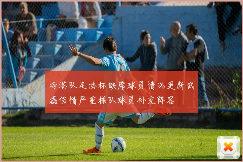 海港队足协杯缺席球员情况更新武磊伤情严重梯队球员补充阵容